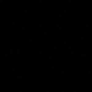 Meet your Posher, Savannah